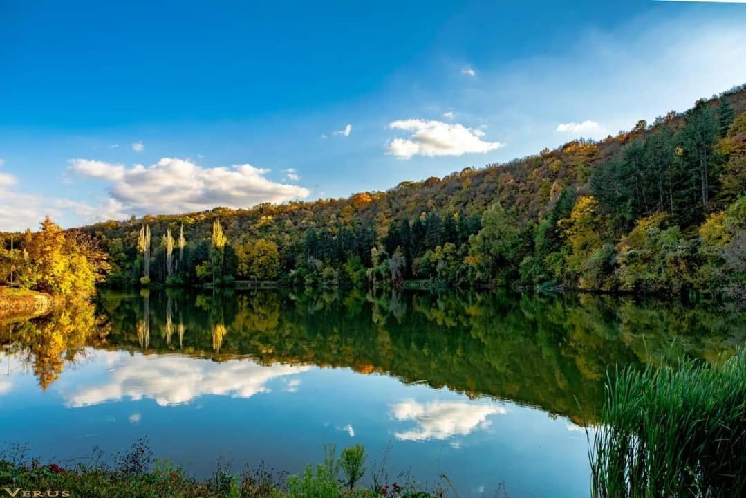 Hotel Villa Kaylaka Плевна Экстерьер фото